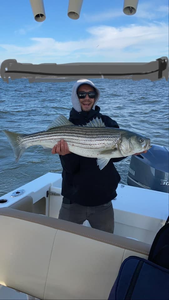 Striper Quest in New Jersey